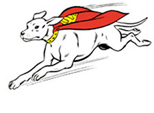 Krypto in flight.JPG